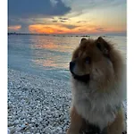 别墅 La Perla Del Mare